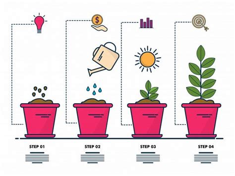 Infografía creativa de cuatro pasos mostrada por los pasos de crecimiento de la planta Vector