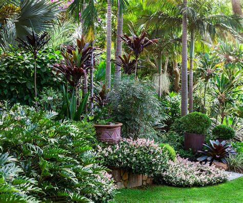 A Tropical Oasis On The Nsw North Coast Tropical Garden Design
