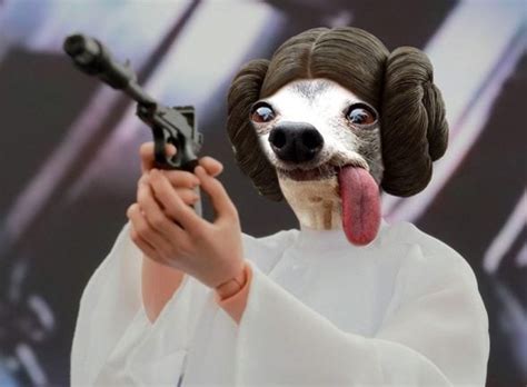 People Were Asked To Photoshop This Long Tongued Doggo And The Results