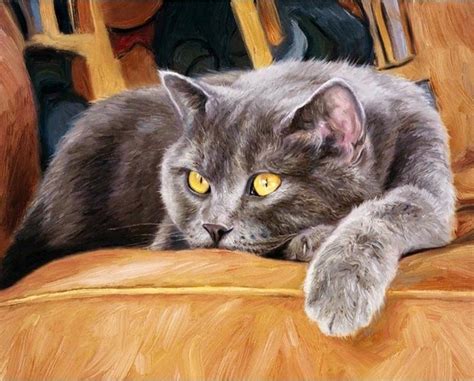 Cat tiger painting by numbers kit paint by number canvas art kits kitty mirror. Cat on the couch - Animals Paint By Numbers - Numeral Paint