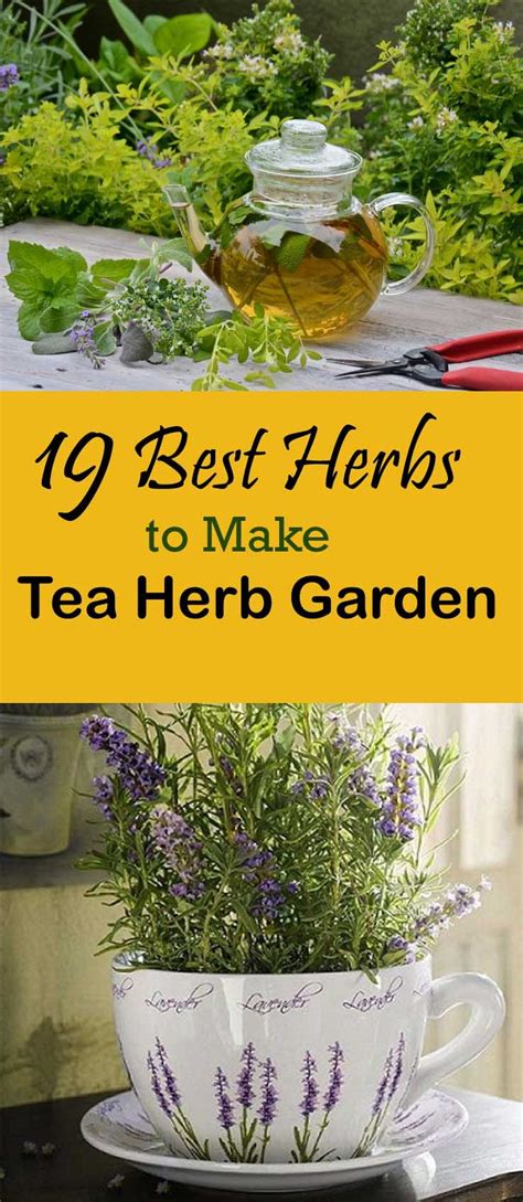 The best thing about this kind of gardening is that it really doesn't take a lot of effort to put. 19 Best Tea Herbs to Make a Tea Herb Garden - Gardening Viral