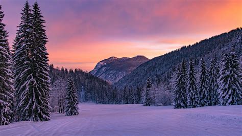 Download Landscape Snow Nature Winter K Ultra HD Wallpaper