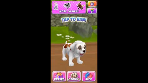 Dog Runrun Games Goldusaqlar Ucun Super Cuk Oyunlari Youtube
