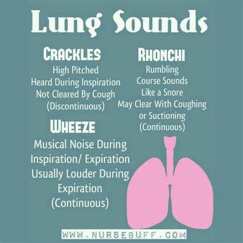 Lung Sounds Lung Sounds Breath Sounds Nursing Notes