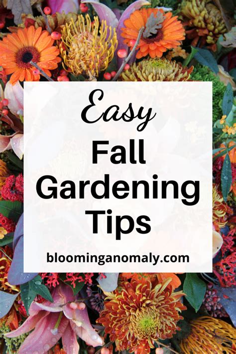 Easy Fall Gardening Tips Blooming Anomaly