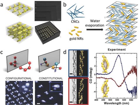 Chiral Nanostructures Constructed By Multiple Coupled Particles A Download Scientific Diagram