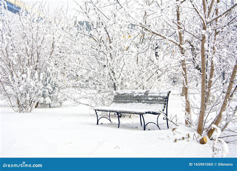 Snow Covered Bench In A Deserted Park Winter Stock Photo Image Of