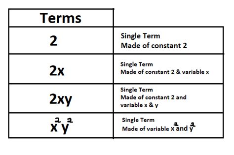 Terms In Math Concept Of Terms With Solved Examples Wtskills