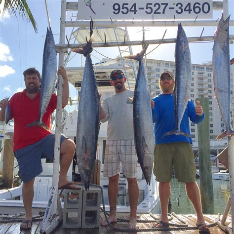 Fort Lauderdale Fishing Report Fishing Headquarters