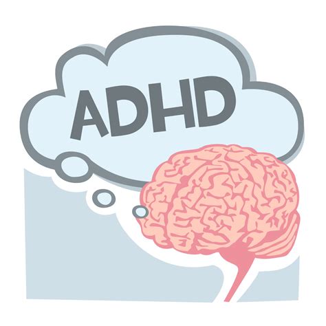 Adhd Brain