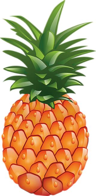 Ananas Png Tube Fruit Exotique Pineapple Clipart Png