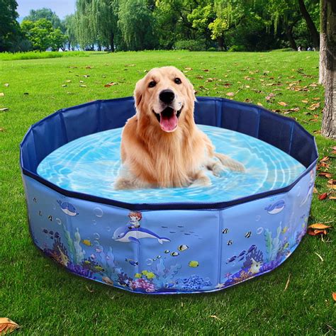 Foldable Dog Pool Collapsible Hard Plastic Dog Swimming Pool Portable