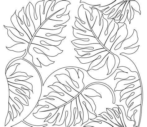 Tropical Leaf Drawing At Getdrawings Free Download