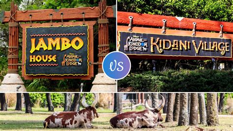 Jambo House Vs Kidani Village Which Is Better For Your Next Trip