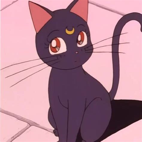 Sailor Moon Cat  Sailor Moon Cat Screaming Descubre Comparte S Sexiz Pix