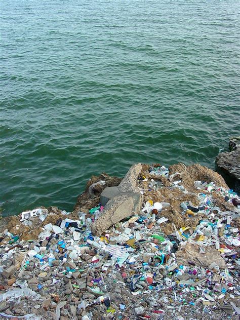 sea with garbage dump along the malecon santo domingo dominican republic flickr photo