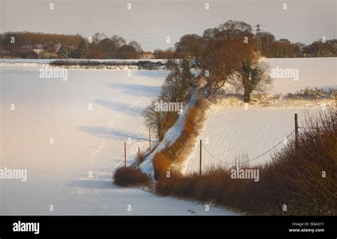 Rural Snow Lanscape Bedfordshire Tree Lined Country Lane Warm Summer