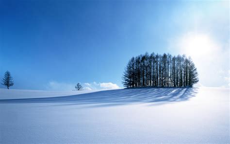 Снег зима деревья обои для рабочего стола картинки фото 1920x1200