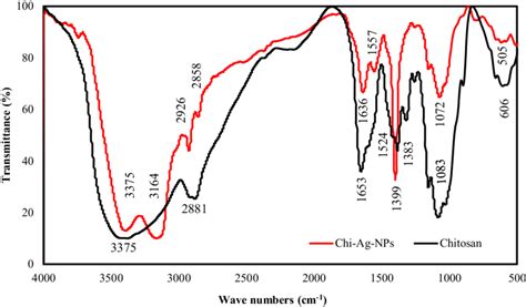 Fourier Transform Infrared Spectroscopy Ftir Spectrum Of Chitosan My