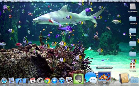 49 Aquarium Live Wallpaper Windows 10 On Wallpapersafari