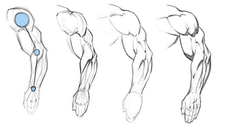 How To Draw A Comic Style Arm Stylized Anatomy Youtube
