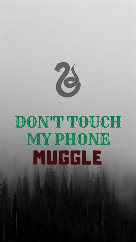 Harry Potter Dont Touch My Laptop Muggle Potter Harry Muggle Laptop