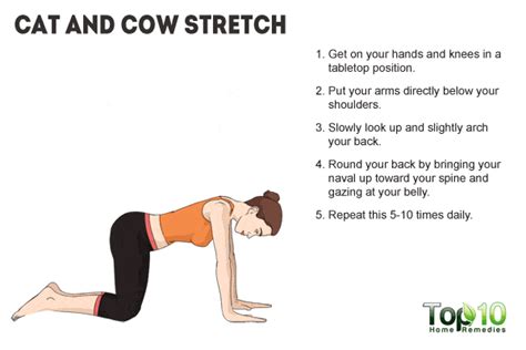 Yoga training for healthy pregnancy. Get Rid of Back Pain with These Exercises and Yoga Poses ...