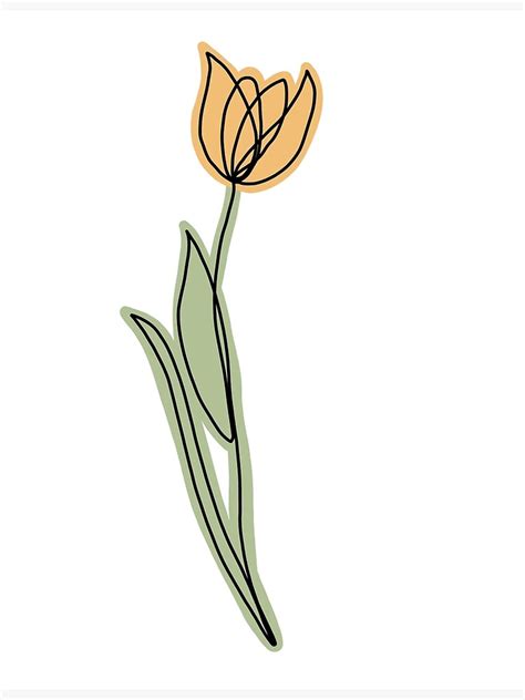 Orange Tulip Line Flower Poster For Sale By Emmccollister Redbubble