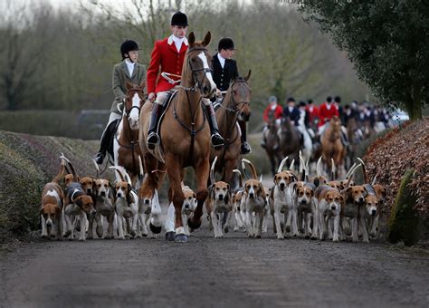 Fox hunting change vote cancelled following SNP U-turn