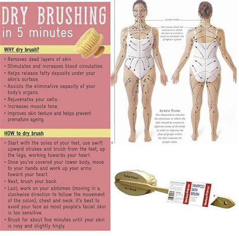 Clean The Bodys Drains Ways To Flush And Detoxify The Lymphatic System Video Health