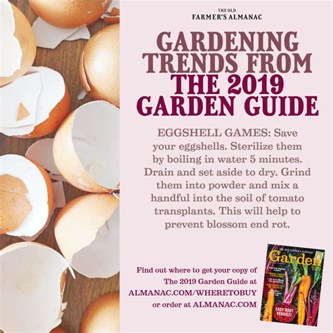 Gardening Trends From The 2019 Garden Guide Garden Guide Gardening