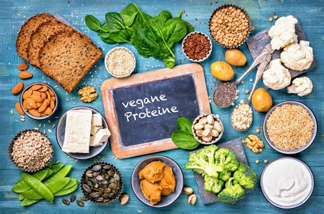 Vegane Proteine - GesundeStube