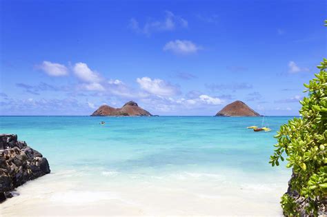 Why Lanikai Beach Is The Best Place To Go Snorkeling DesertDivers