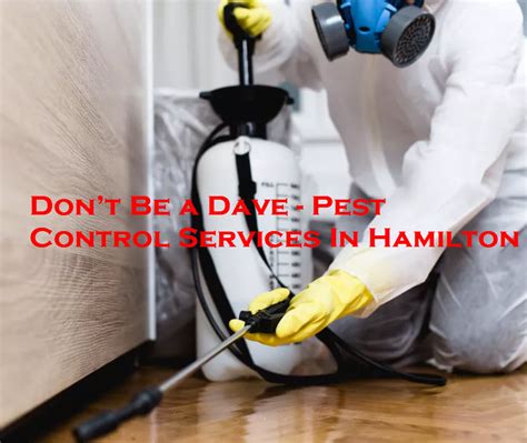 Bed bugs, mice and rats. Don't Be a Dave - Pest Control Services In Hamilton