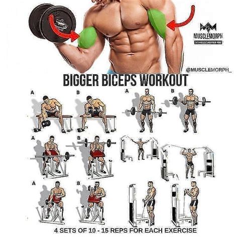 Bigger Biceps Workout For Yours ️ ️💯 For More Content Follow Us 👉
