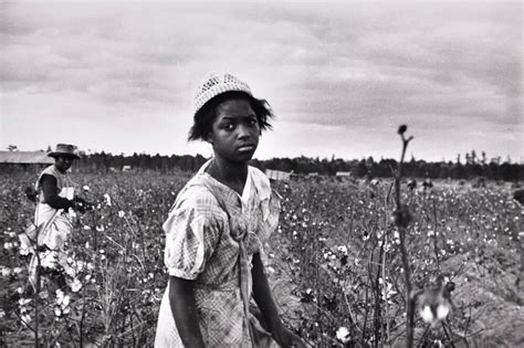 Picking Cotton Pulaski County Arkansas All Works The Mfah Collections