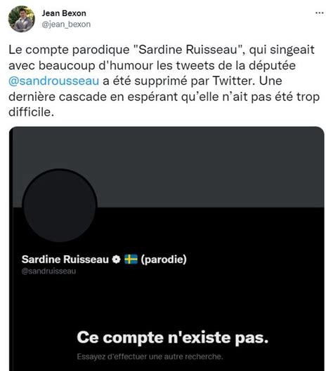 Non Le Compte Parodique Sardineruisseau Na Pas été Censuré Par Twitter Tf1 Info