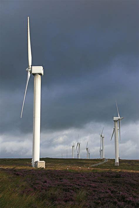 Severe weather and wind farm interference - The Municipal