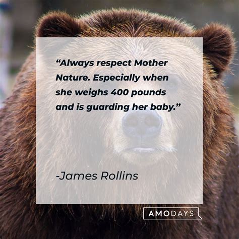 70 Bear Quotes A Tribute To These Majestic Creatures