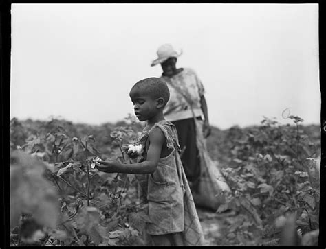 African American Childwomanlaboremploymentworkpicking Cottonsouth