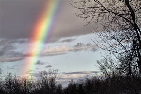 Winter Rainbow Stock Photo Image Of Rainbow Country 77364268