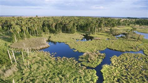 Everglades National Park Visit The Usa