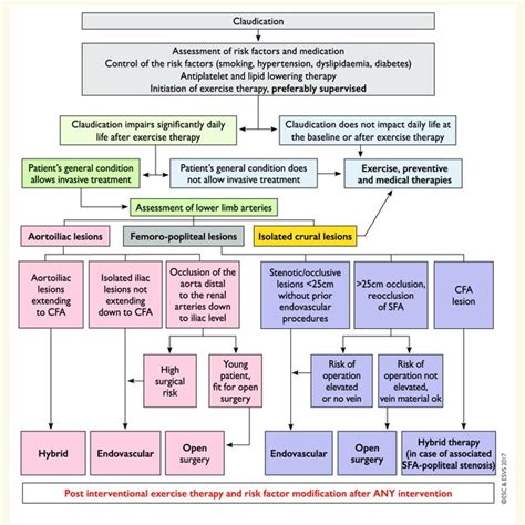 Management Of Acute Limb Ischaemia Cta Computed Tomography