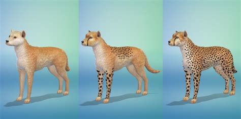How To Create Wild Animals In The Sims 4 Cats And Dogs Animals Wild