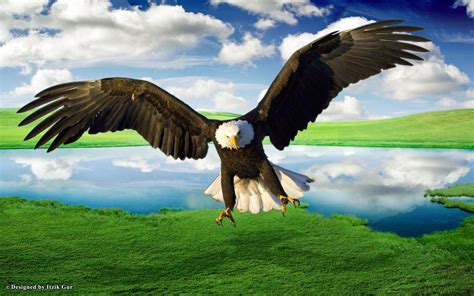 1920 x 1200 jpeg 592 кб. Flying Eagle Wallpapers - Wallpaper Cave