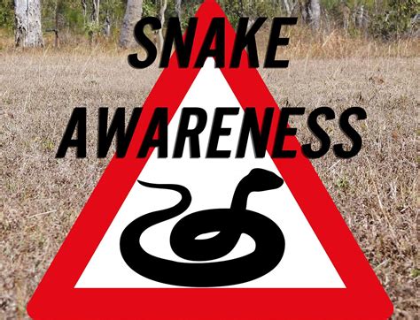 Emergency First Aid Tips For Snake Bites