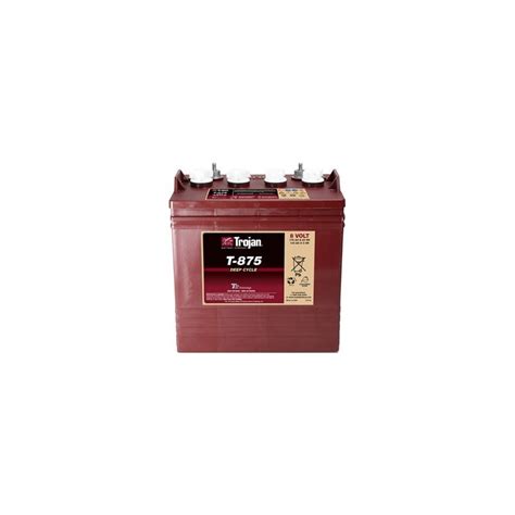 Batterie Traction Deep Cycle Trojan T 875 8 Volts 170ah
