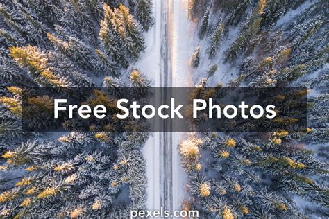 1000 Engaging Christmas Scenery Photos Pexels · Free Stock Photos
