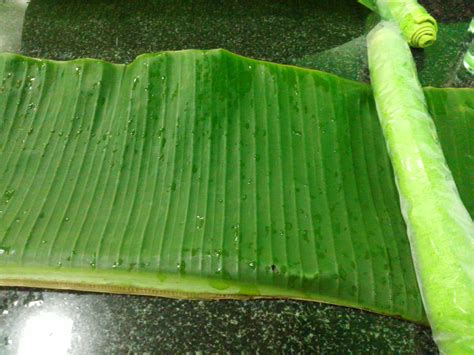 ﻿banana leaf also makes a beautiful placemat or table cloth on use kitchen scissors to cut the banana leaves to the size you need. 「コロンボのお薦めレストラン" New Banana Leaf"（おしぼりもお薦めです!）」 スリランカ／コロンボ ...