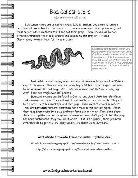 Halloween Worksheets For 5th Grade